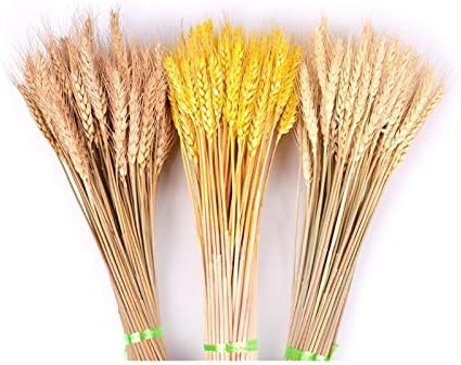HANRUO Dried Flowers 50Pcs Wedding Decor Craft Prop Set