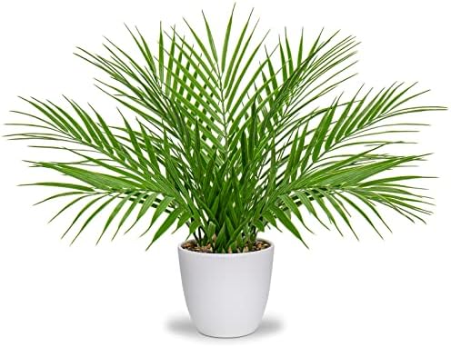 Briful Artificial Palm Plant 15 White Pot Indoor Decor