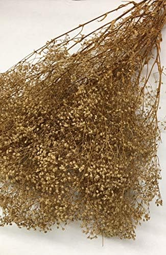 CalCastle Craft Dried Flower Babys Breath Bouquet 27 Inch 2oz Bundle