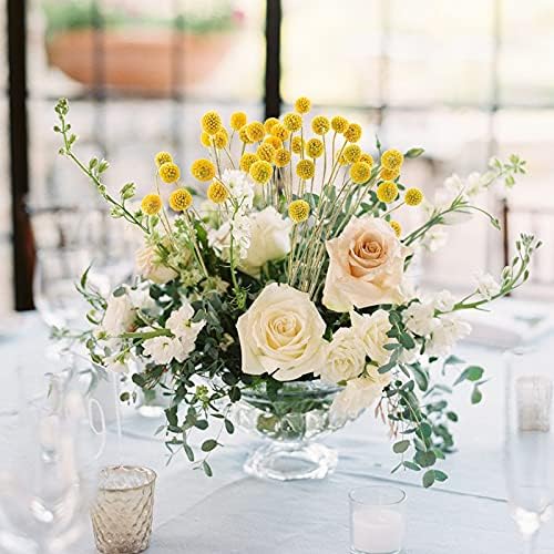 Uieke 40Pcs Dried Billy Balls Yellow Flowers for Home Wedding Decor