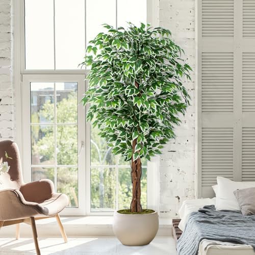 62ft Ficus Artificial Tree with 3 Curved Trunks
