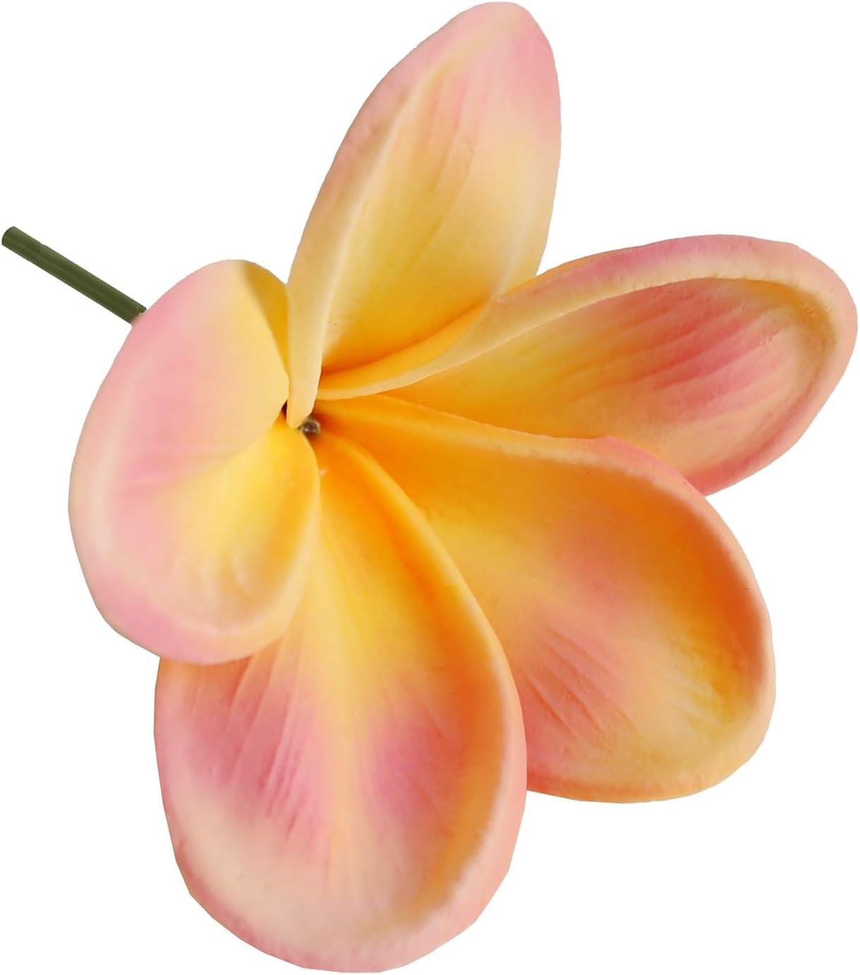 10PCS Real Touch Artificial Plumeria Flowers with Stem Apricot
