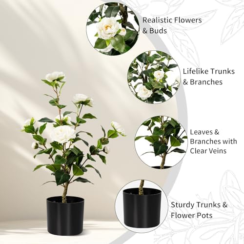 Artificial Camellia Tree 2 Pack White 2FT Cement Pot Decor
