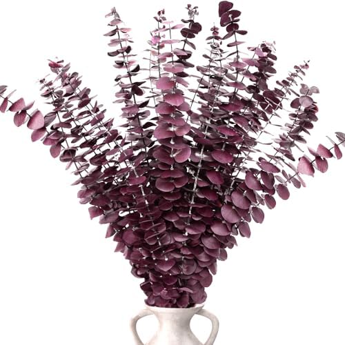 Kocat 20PCS Burgundy Eucalyptus Stems - Dried Preserved Real
