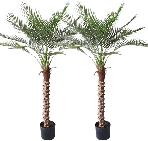 Innoasis Artificial Palm Tree 5FT 2Pack Faux Sago Palm Decor