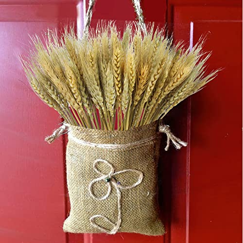 CISDUEO 100 Pcs Natural Dried Wheat Stalks Bundle