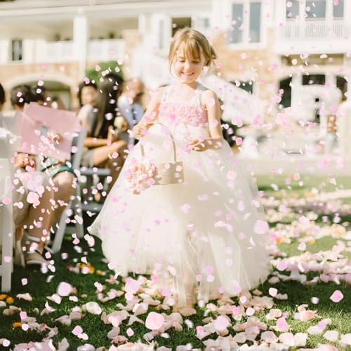 1500Pcs Real Hydrangea Pink Dried Flower Petals
