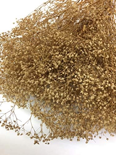 CalCastle Craft Dried Flower Babys Breath Bouquet 27 Inch 2oz Bundle