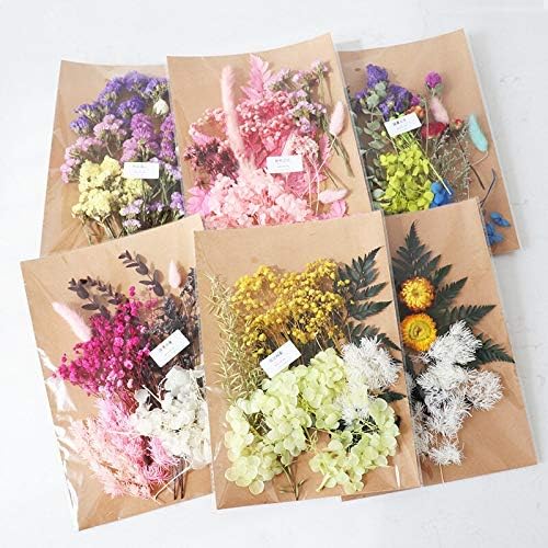 EdricShop 1Bag Real Dried Gray Rose Flowers for Pendant Making