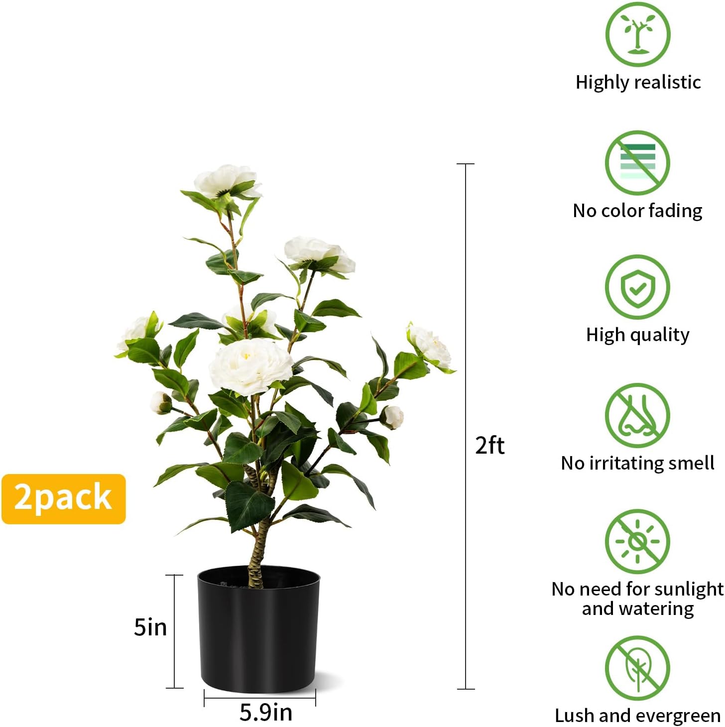Artificial Camellia Tree 2 Pack White 2FT Cement Pot Decor