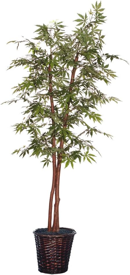 Vickerman Artificial Green Rattan Tree 7 Foot
