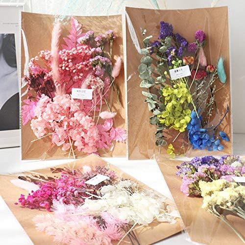 EdricShop 1Bag Real Dried Gray Rose Flowers for Pendant Making