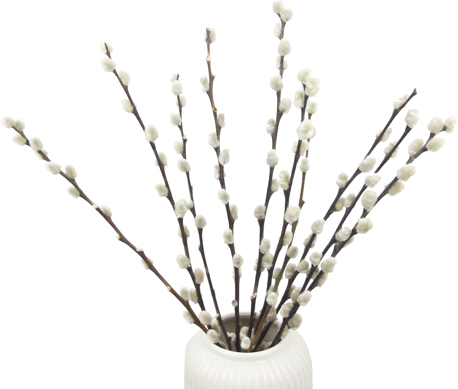 10 Pcs Real Pussy Willow Branches for Vases Decor