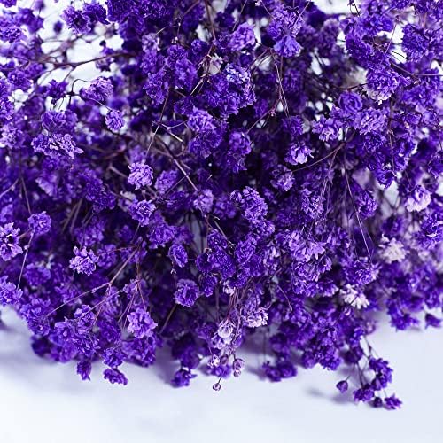 Preserved Babys Breath Flowers 3 Bunches Purple
