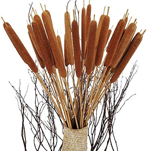 40 Pcs Dried Natural Cattails for Decor and Arrangements