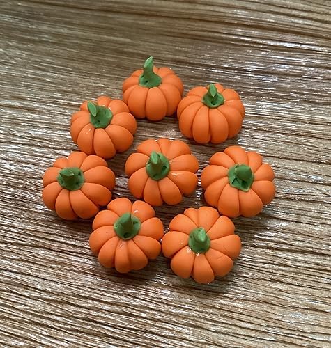 20 Mini Pumpkins Vegetable Garden Display Minimal Decor