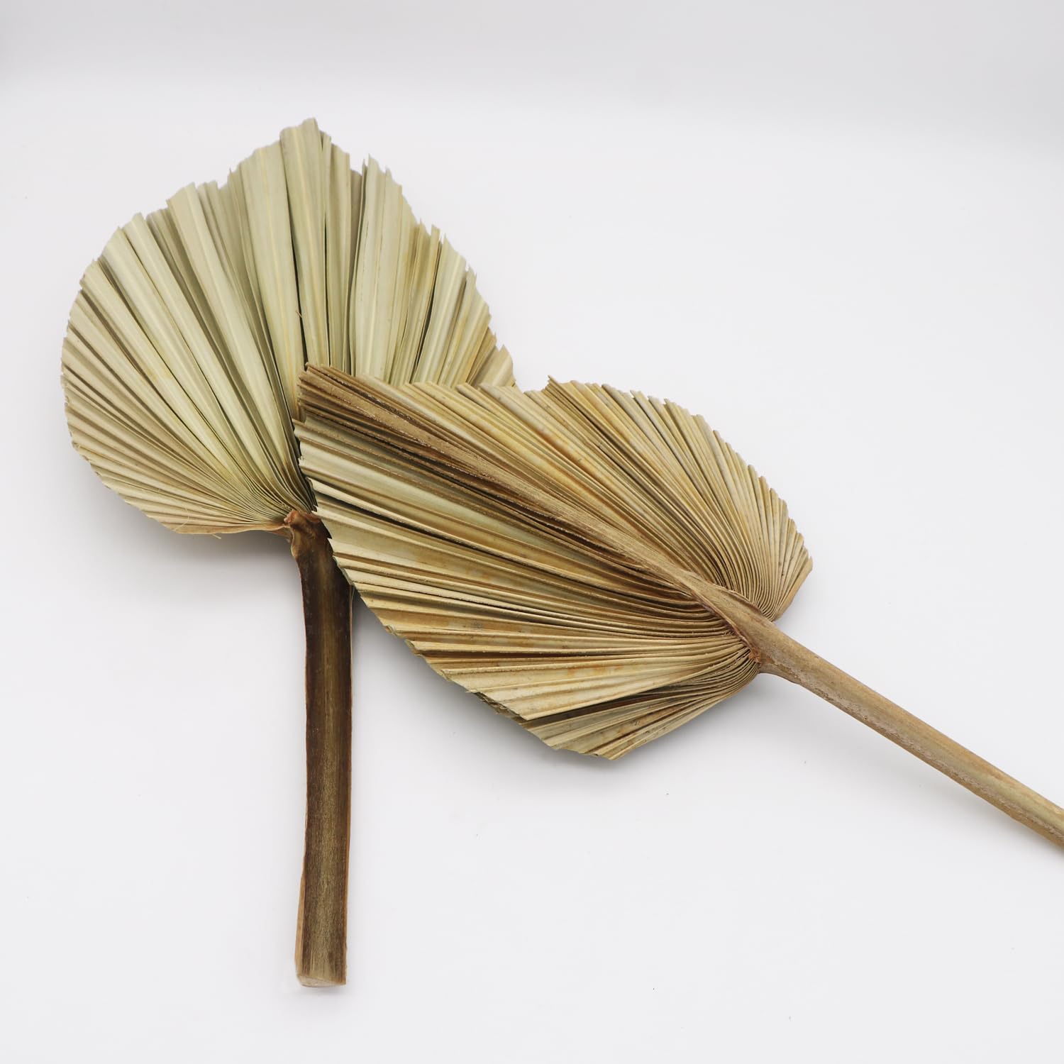 Dried Palm Leaves Bouquet 6 Pcs Eco-Friendly Decor