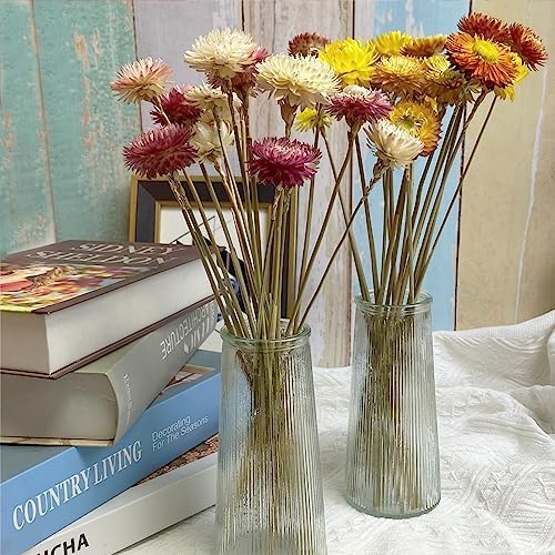 LBREVOGA Dried Flower Bouquets 16 Piece Pink White