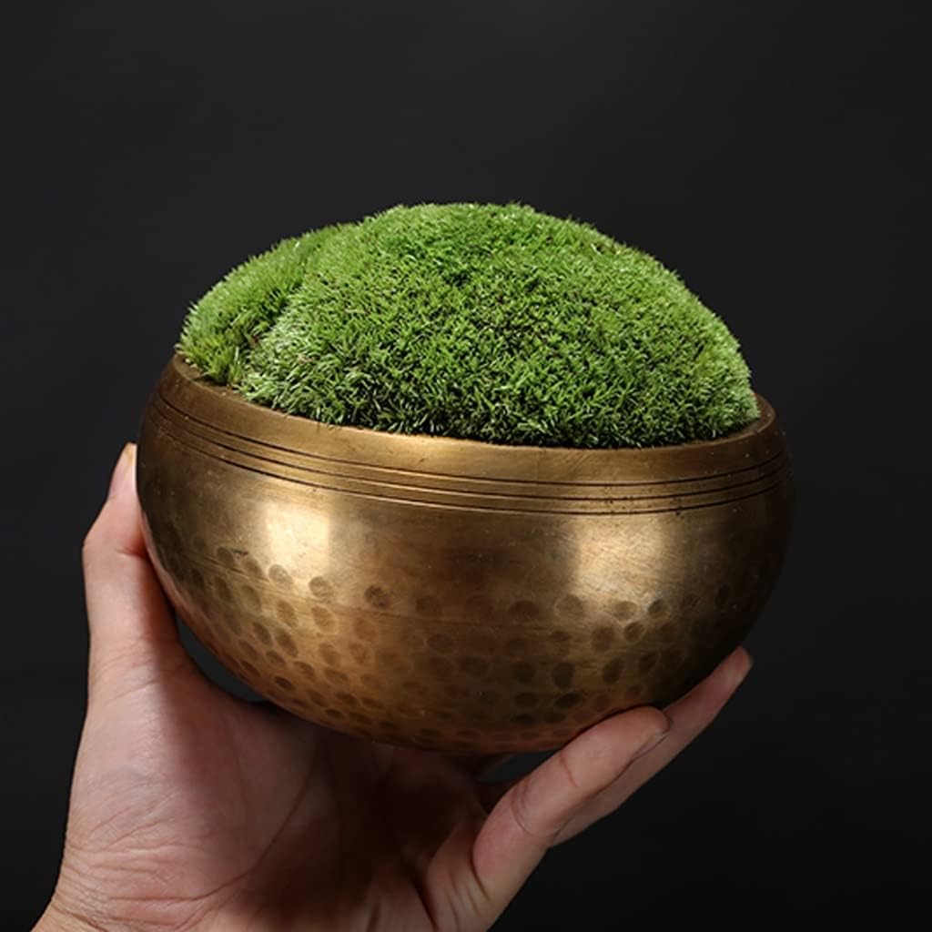 Faux Bonsai Tree Artificial Plants Desktop Mini Greenery Decor