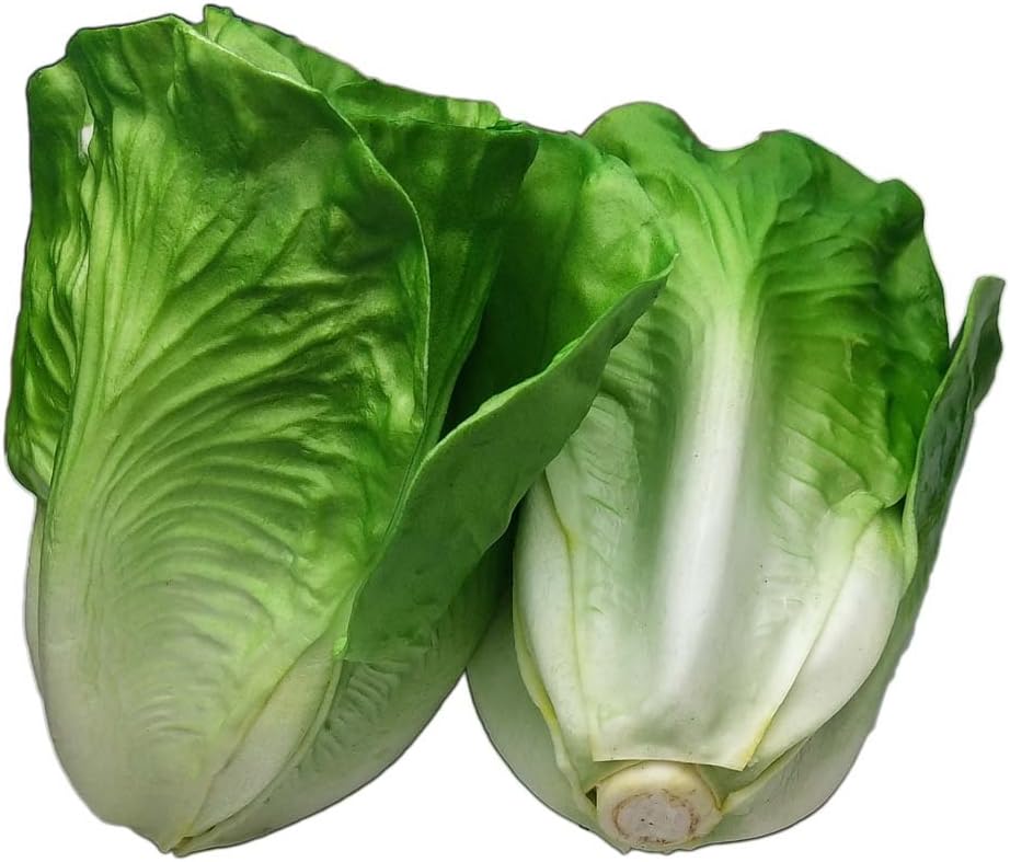 Lorigun Artificial Lettuce 2 Pcs for Home Decor