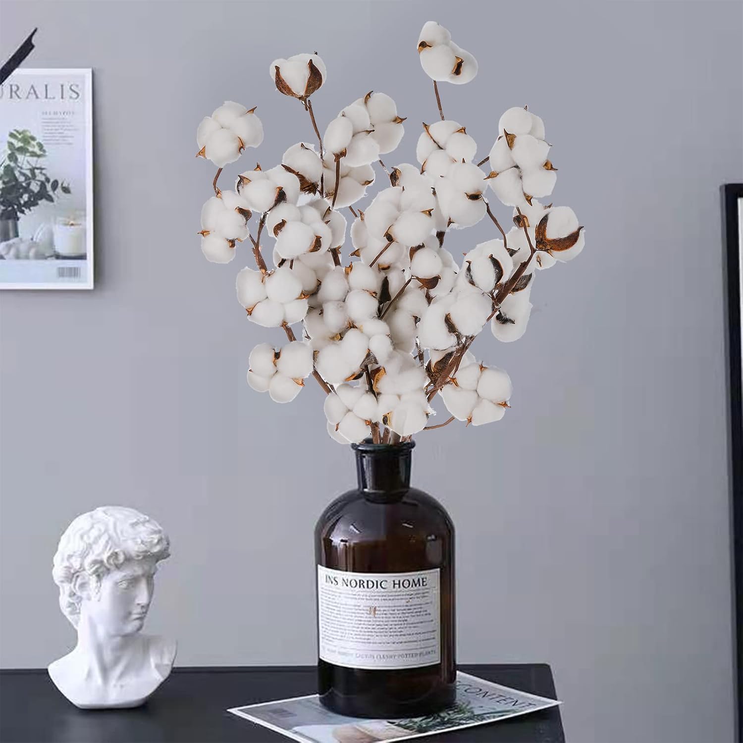 Cedilis 5 Pack Cotton Stems for Farmhouse Decor