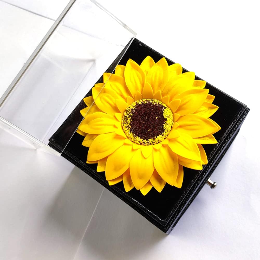 You Are My Sunshine Necklace Gift Box