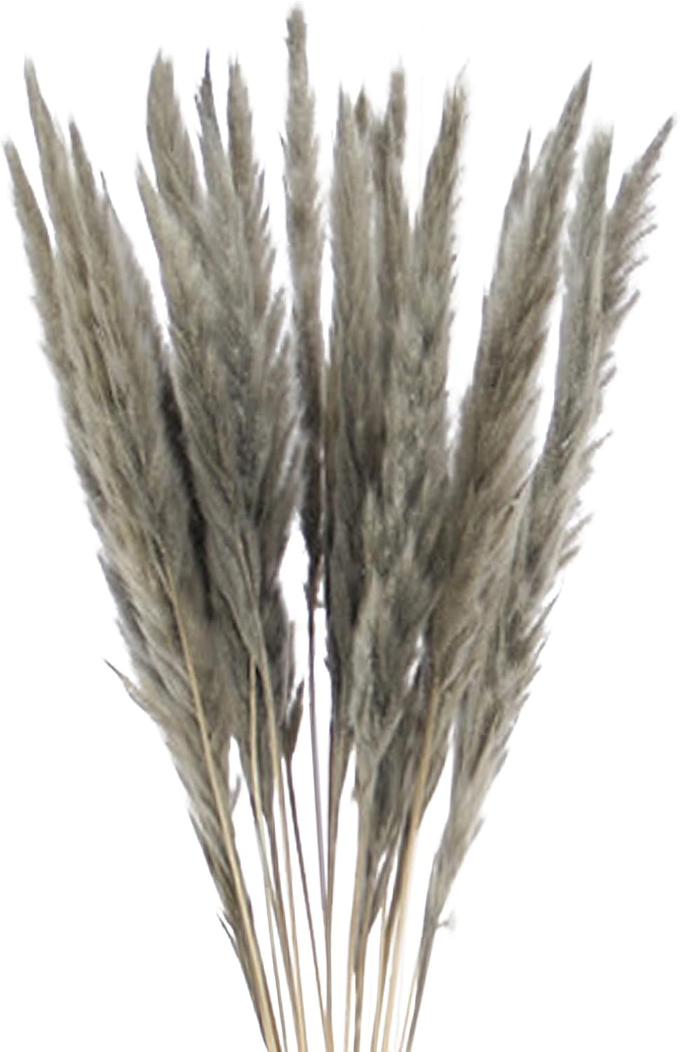 45 PCS Natural Dried Pampas Grass Wedding Decor