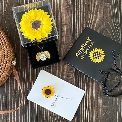 You Are My Sunshine Necklace Gift Box