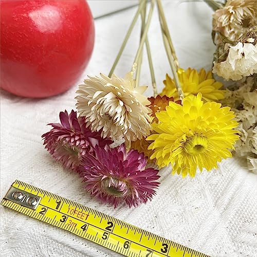 LBREVOGA Dried Flower Bouquets 16 Piece Pink White