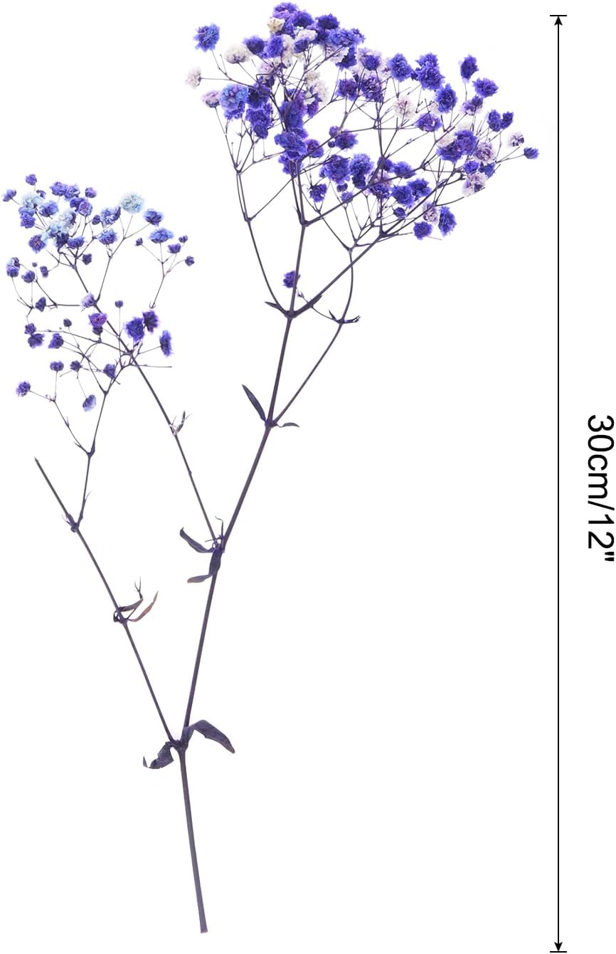 MECCANIXITY Artificial Purple Babys Breath Flowers 12 Inch Branches