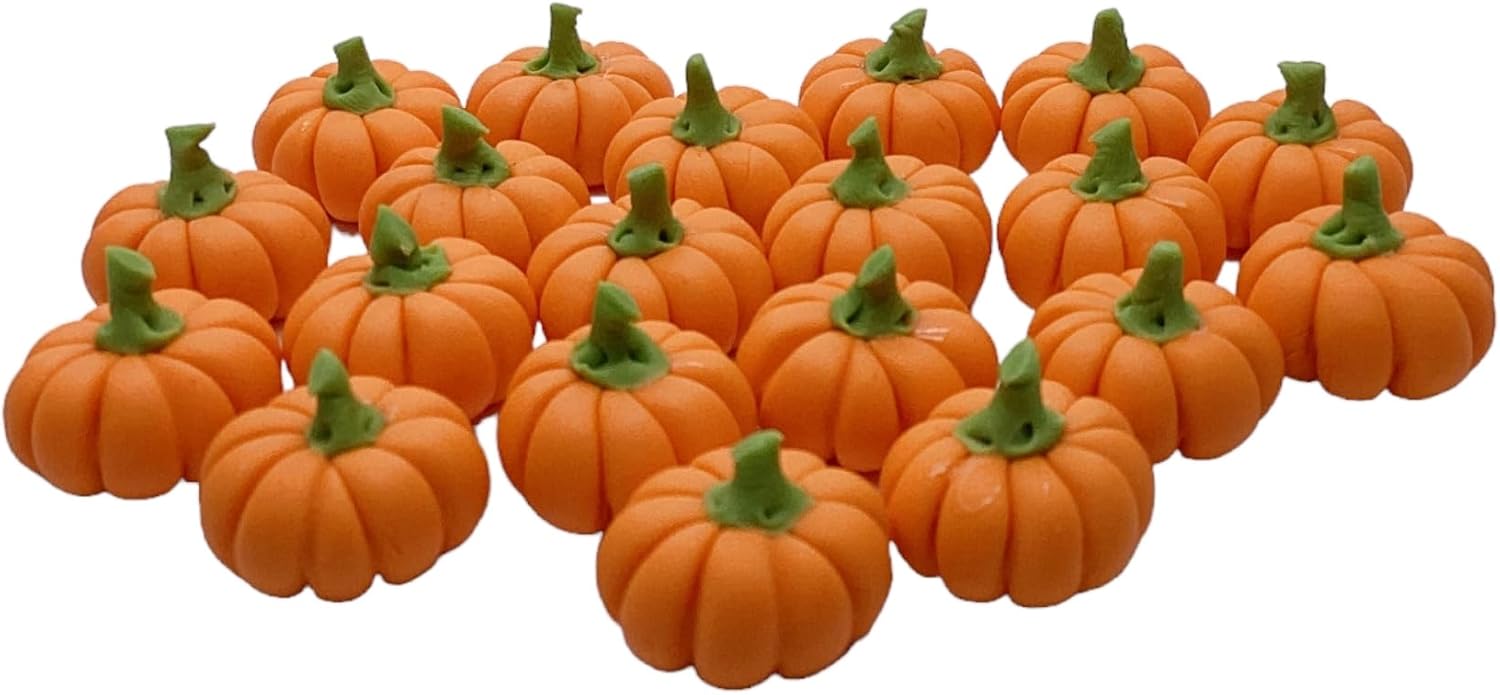 20 Mini Pumpkins Vegetable Garden Display Minimal Decor