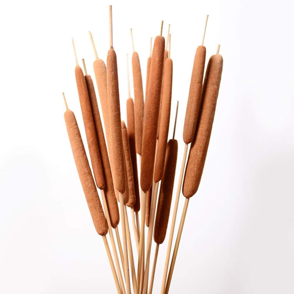 40 Pcs Dried Natural Cattails for Decor and Arrangements