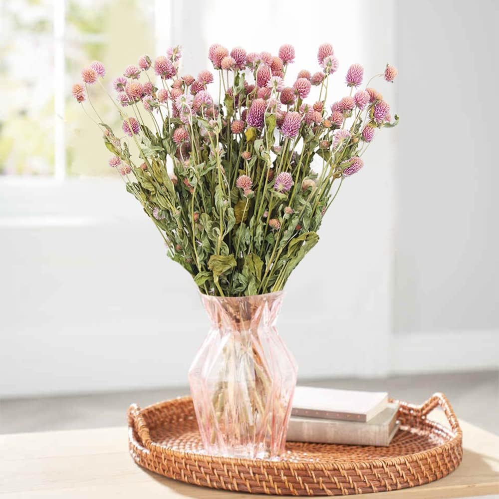 JOJAZE Dried Flower Bouquet Pink Globe Amaranth Natural Wedding Decor