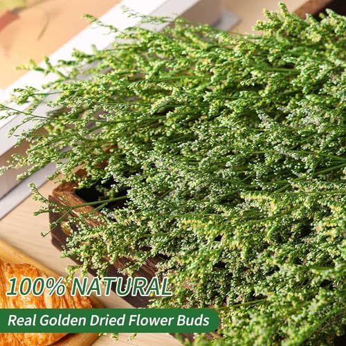 Natural Dried Flowers Bouquet 17 Lavender Babys Breath Wedding Decor