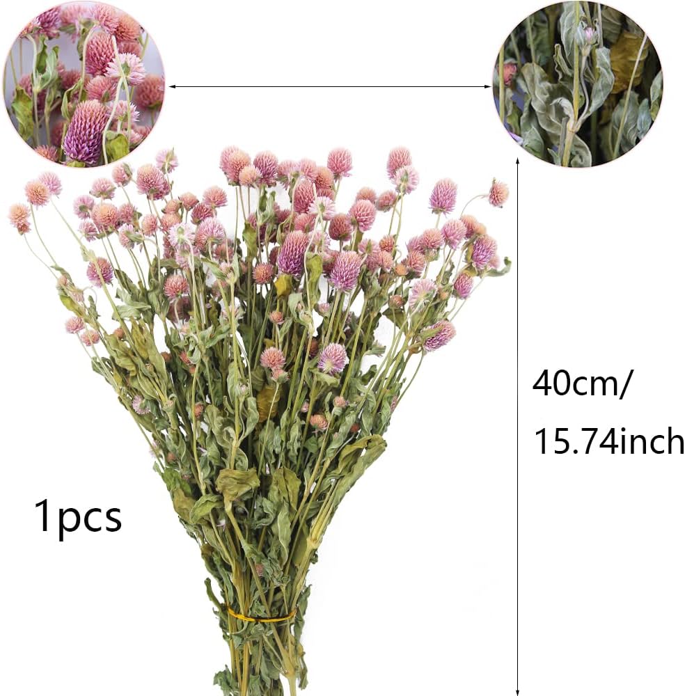JOJAZE Dried Flower Bouquet Pink Globe Amaranth Natural Wedding Decor