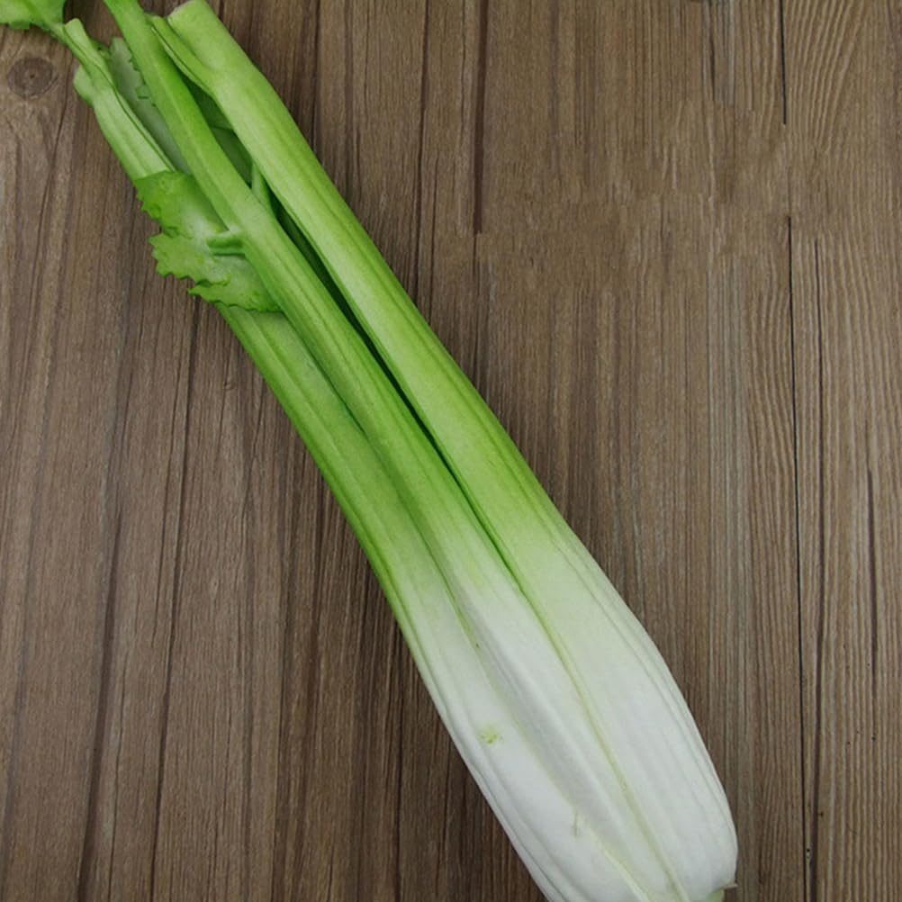LOGOFUN Artificial Celery Photo Prop for Display