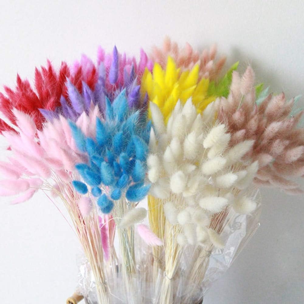 PEPPERLONELY 30pc Natural Dried Flower Rabbit Tail Grass Bouquets