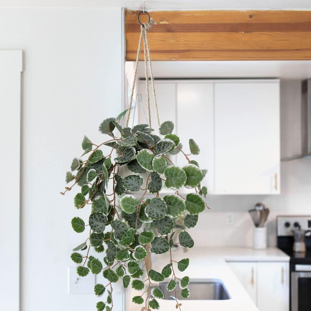 Briful Artificial String of Hearts Plants 16 with Ceramic Pot