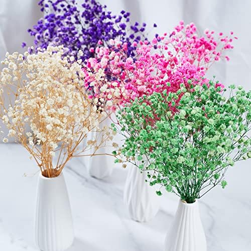 Preserved Babys Breath Flowers 3 Bunches Purple