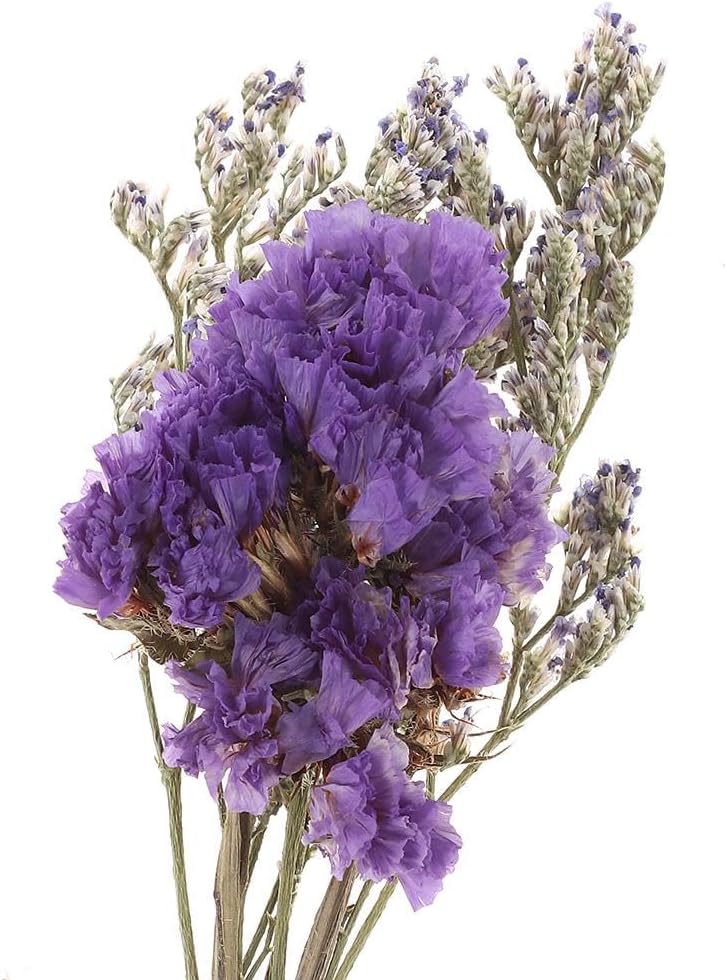 20 PCS Mini Dried Flowers Bouquet Set