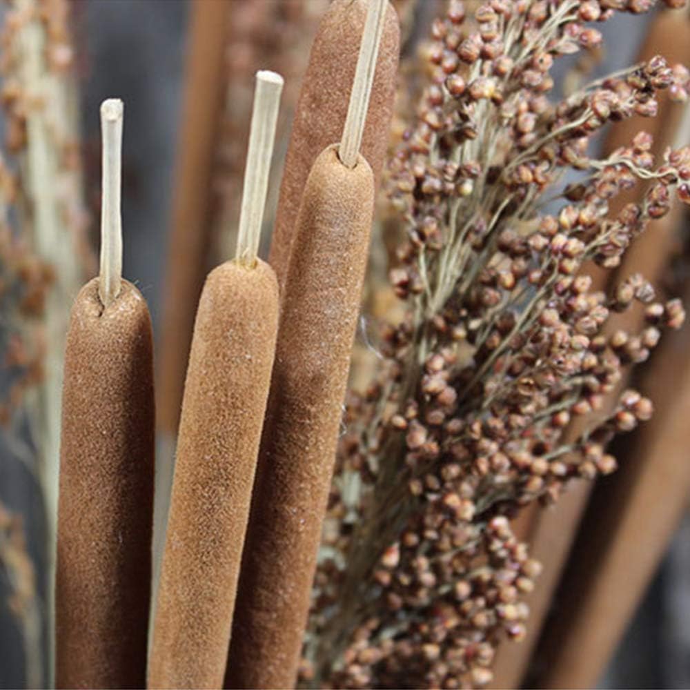40 Pcs Dried Natural Cattails for Decor and Arrangements