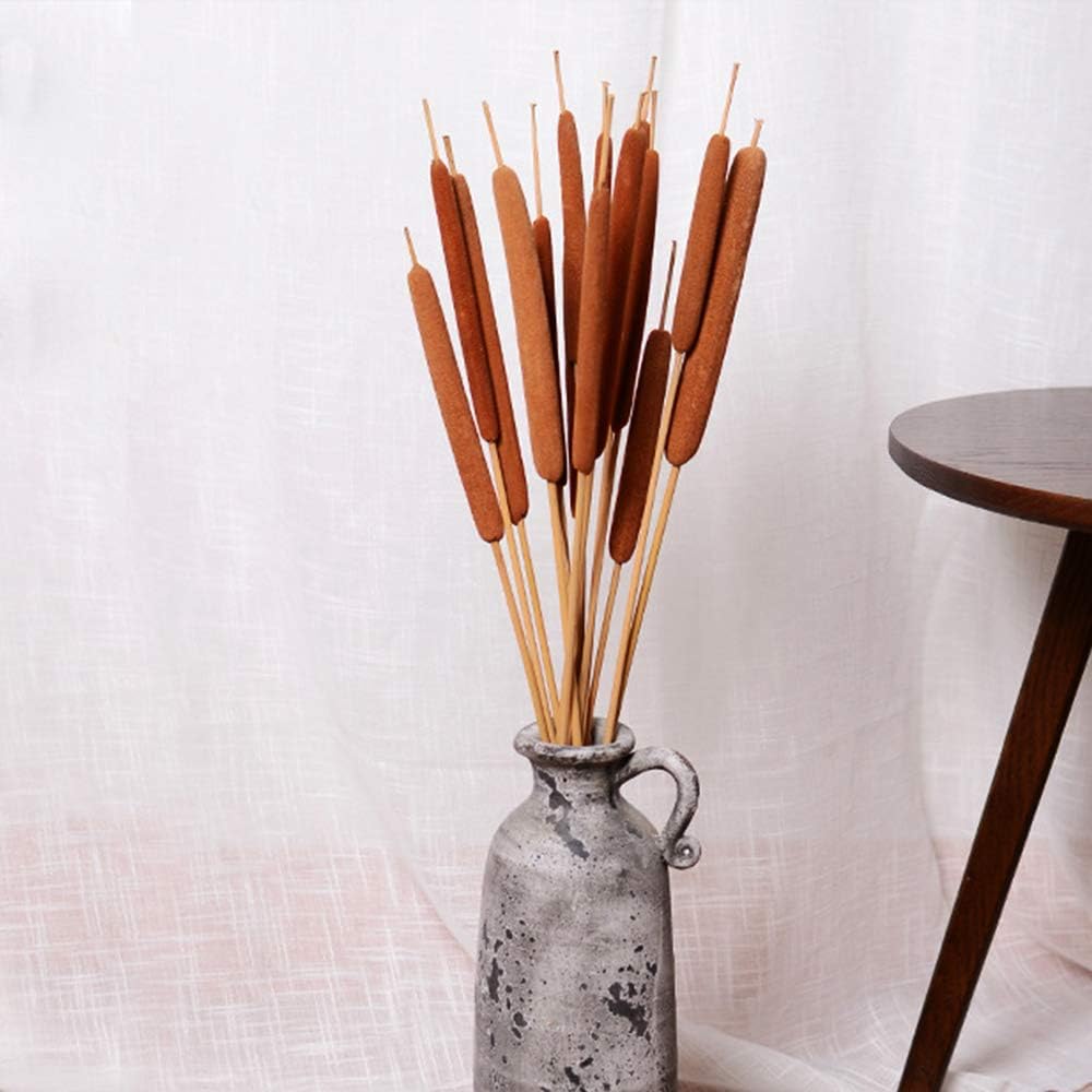40 Pcs Dried Natural Cattails for Decor and Arrangements