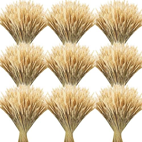 Geosar 600 Dried Wheat Stalks Decor Bundle