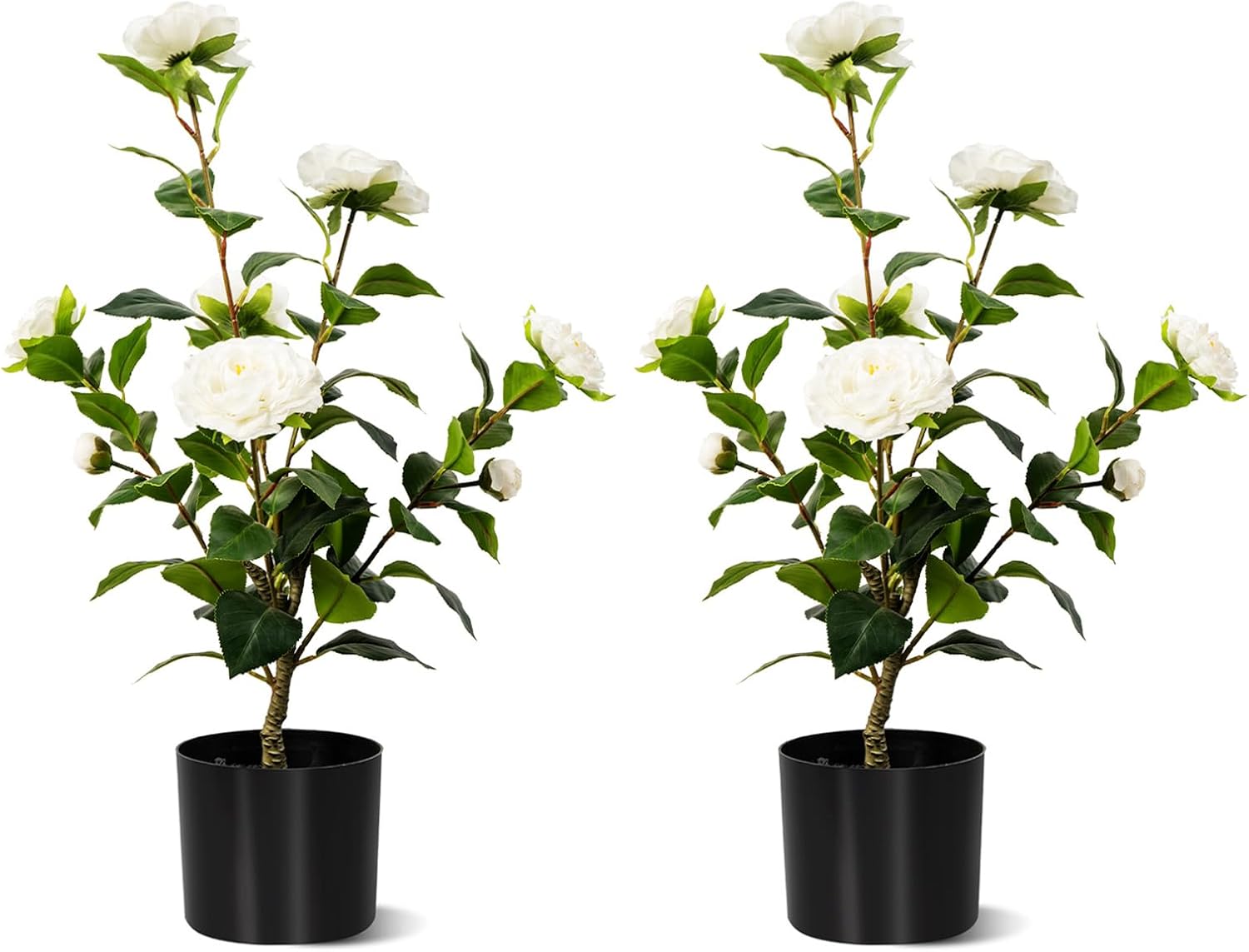 Artificial Camellia Tree 2 Pack White 2FT Cement Pot Decor