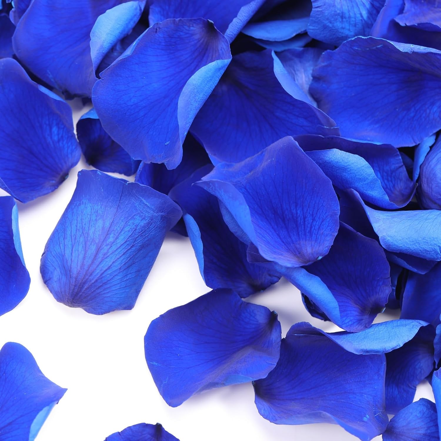 Tavkite Dried Blue Rose Petals for Wedding Decor