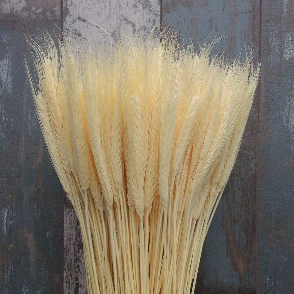 Natural Wheat Ears Bouquet for Home Decor 25pcs Beige