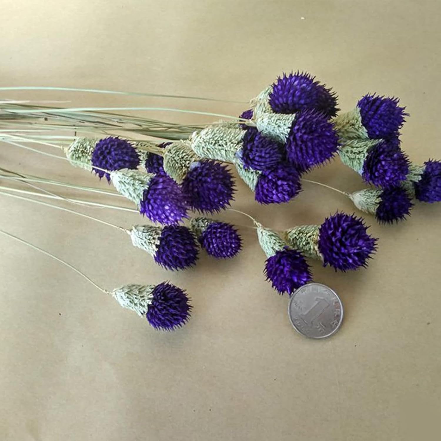 OXCOWNIU Flowers Natural Dried Berries Wedding Bouquet Home Decor