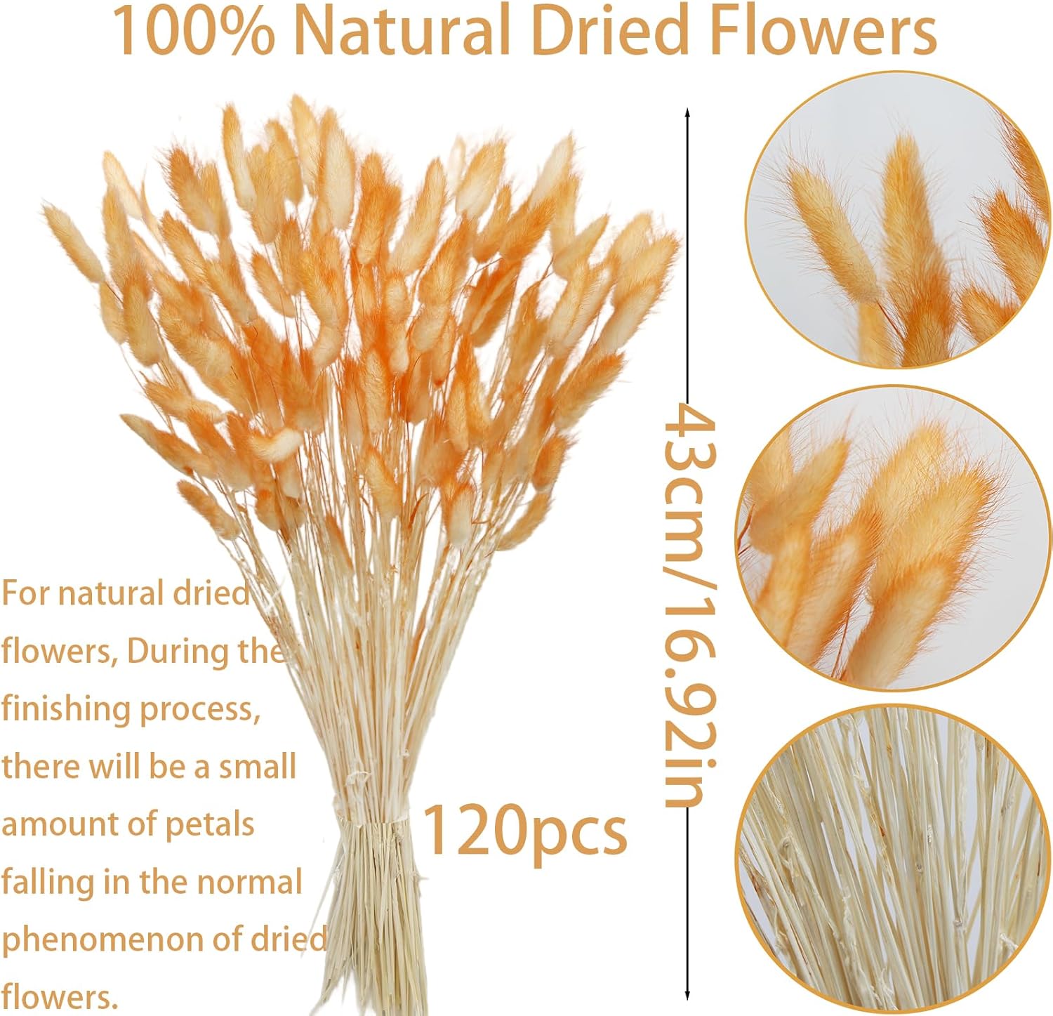 120 Pcs Dark Orange Dried Lagurus Ovatus Flowers