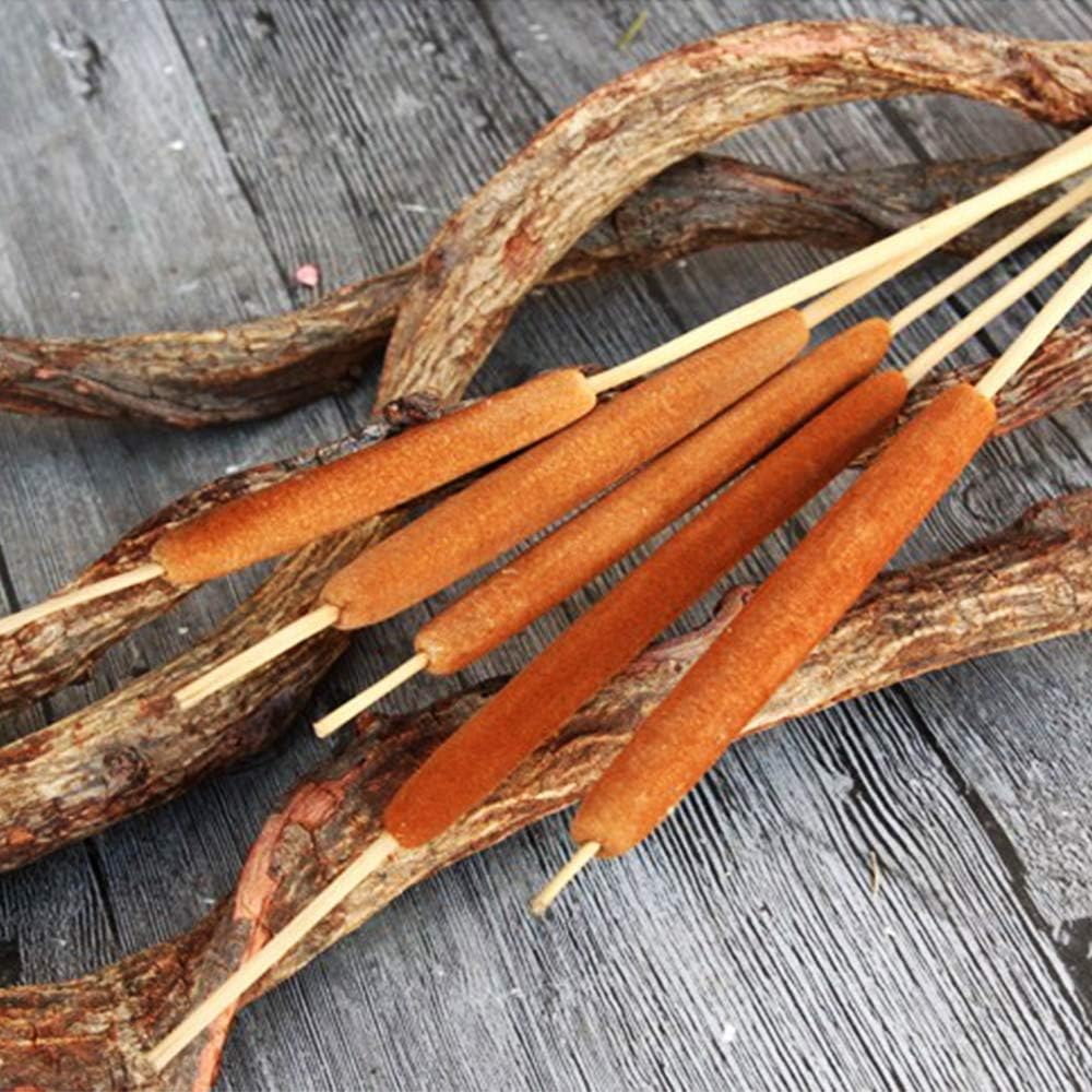 40 Pcs Dried Natural Cattails for Decor and Arrangements