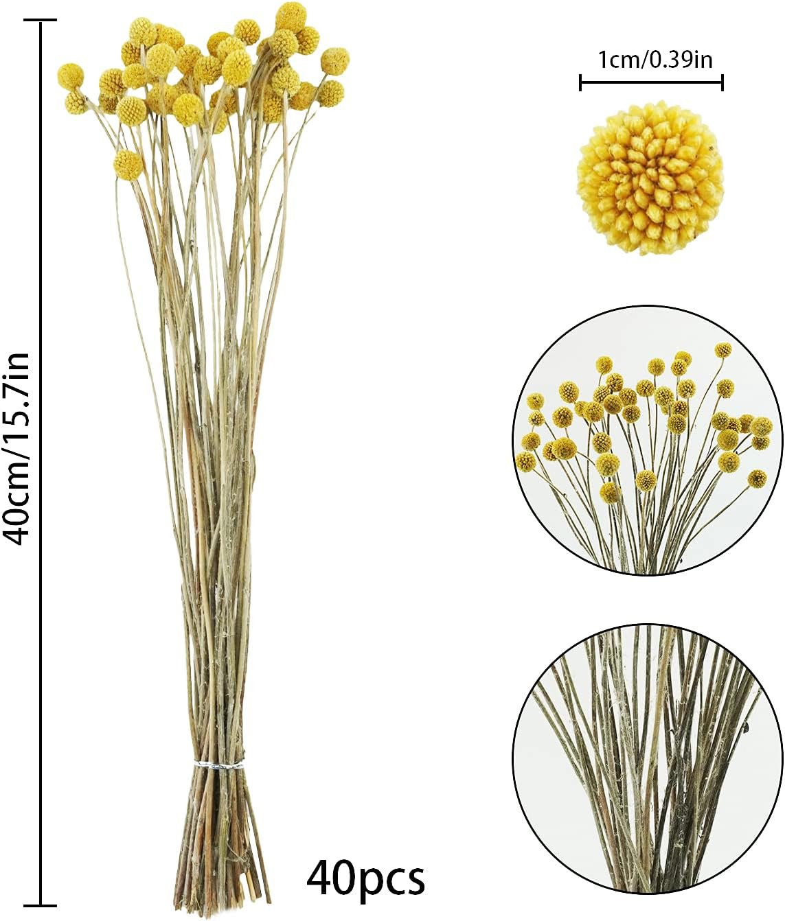 Uieke 40Pcs Dried Billy Balls Yellow Flowers for Home Wedding Decor